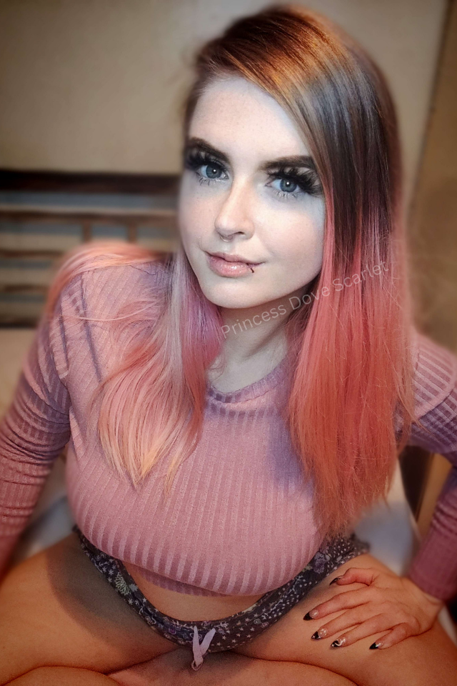 Princess Dove Scarlet